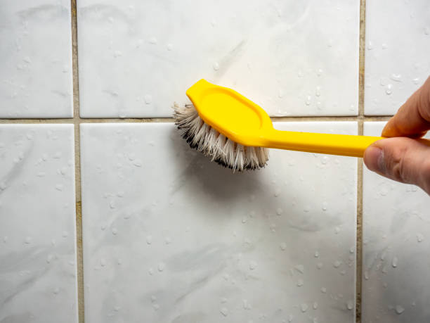 Best Mold Testing  in Marion, IL
