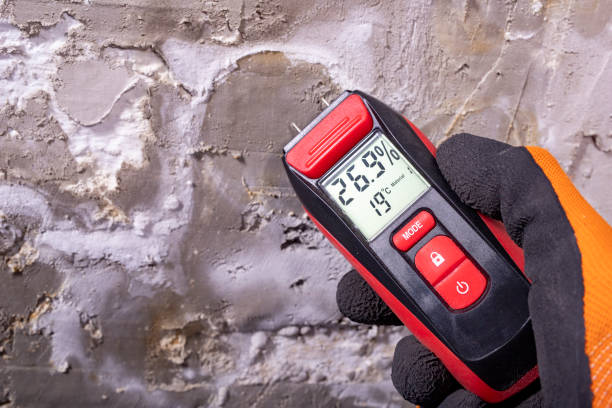 Best Mold Remediation  in Marion, IL